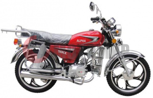 ����� ���� ALPHA 50�� (2L)����