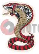 �������� ����� (�������)