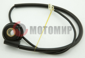 �������� ����.����.250�� Amagi250