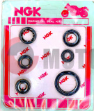 Набор сальников 2т.DY-100 (блист.) Набор сальников 2т.DY-100 (блист.)