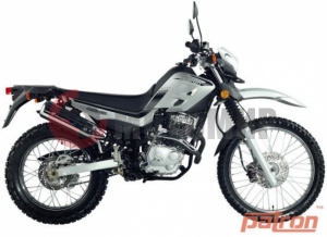 �������� Patron Strike 250