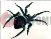 �������� ���� (050*65) ��.