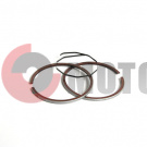 Кольца Suzuki AD 100 STD (?52,0, p-12) KIYOSHI Кольца Suzuki AD 100 STD (?52,0, p-12) KIYOSHI