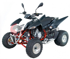 ATV QuadRaider 450 спортивный черный карбон ATV QuadRaider 450 спортивный черный карбон