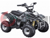 ATV Irbis 70 S ATV Irbis 70 S