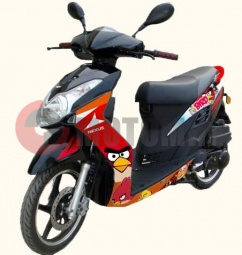 ������ NEXUS BIRD 50cm3