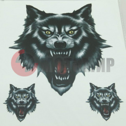 �������� ���� �������