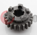 �������� 21 ��