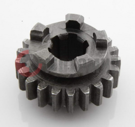 �������� 21 ��