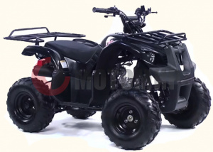 ATV Irbis 110 U