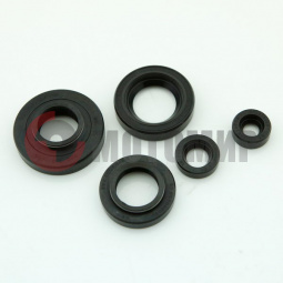 ����� ��������� ������� ��������� (6 ��.)