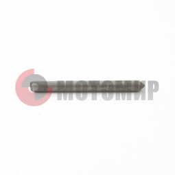 ���� ��������� ������� ��������