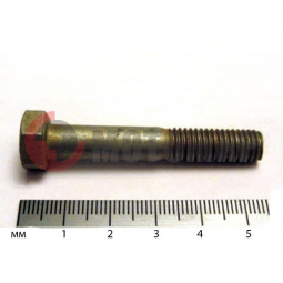 ���� ����� �8�50 ��������� ���������