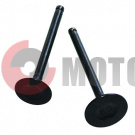 Клапана (64.00mm) 50-70сс Альфа Дельта. Клапана (64.00mm) 50-70сс Альфа Дельта.