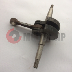 �������� �/� �����