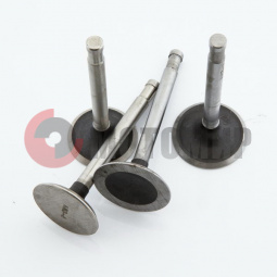 Клапана Днепр (1 комплект=2 пары) Россия Клапана Днепр (1 комплект=2 пары) Россия