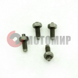 Винт регулировочный коромысла Альфа Дельта с гайк. Винт регулировочный коромысла Альфа Дельта с гайк.