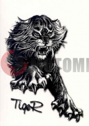 �������� ����