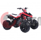 ATV Irbis 110 S ATV Irbis 110 S
