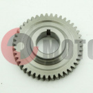 Шестерня балансирного вала ведущая 166FMM (CBB250) Шестерня балансирного вала ведущая 166FMM (CBB250)