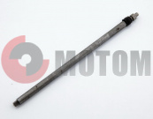 ���� ����� ���������