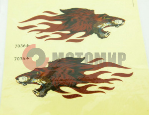 �������� ������ ���� � ����.�����.7036�