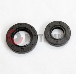 Набор сальников 250ZH Набор сальников 250ZH