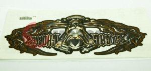 Наклейка CHOPPERS RULE и череп 3443 Наклейка CHOPPERS RULE и череп 3443