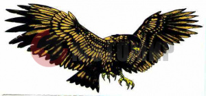 �������� ���� "������"(40*90) �����.