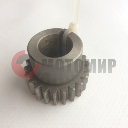 �������� �������� �������� ����� (���������)