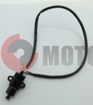 ������ �������� ����� �����250