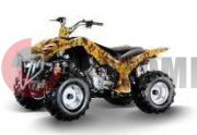 ATV FORSAGE Easy Rider 125 ATV FORSAGE Easy Rider 125