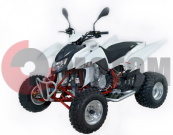 ATV QuadRaider 450 ���������� ����� ������