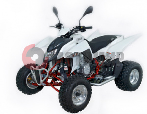 ATV QuadRaider 450 спортивный белый карбон ATV QuadRaider 450 спортивный белый карбон