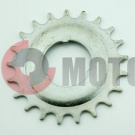 ��������� ���� ����.21 ���