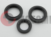 ����� ��������� ������� ��������� ����/���.