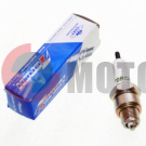 ����� A5R�C (M10*1,00 12,7mm) (4�.GY6 50, Delta) TORCH