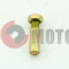 ���� ���� �����������