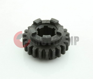 �������� 22 �� �� ������