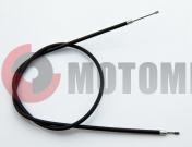 ���� ����� ����