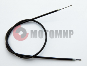 ���� ����� ����