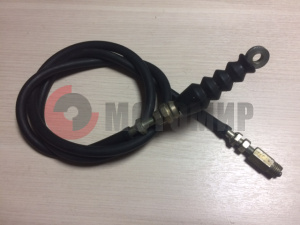 ���� ����� �������� �������