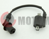 Катушка зажигания ATV150R Skaner Катушка зажигания ATV150R Skaner