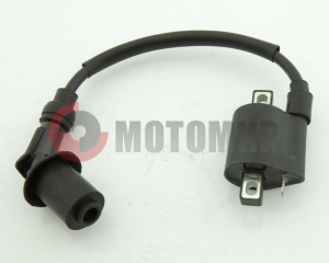 Катушка зажигания ATV150R Skaner Катушка зажигания ATV150R Skaner