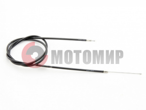 ���� ����� ����