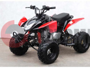 ATV MM ������ 110 (����������.�������.+������) �������/���� (19*7*8/18*9,5*8)