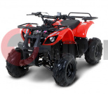 ATV ���� 110U