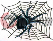 �������� ���� (125*160) �� �������