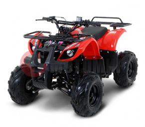 ATV ���� 110U